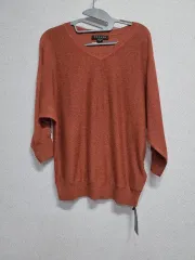 新品 MORGAN Vネックニット 66