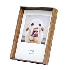 Item thumbnail for item 0c53439e-c7f1-4a75-be79-42af2f7584ef