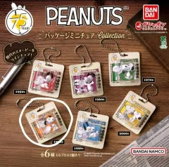BANDAI ピーナッツ 75周年 パッケージ ミニチュア コレクション SNOOPY ガチャ