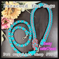 Item thumbnail for item fead288a-d07e-49fc-a3d1-fed0edbfb002