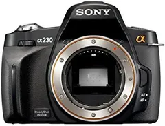 2026年最新】SONY α230の人気アイテム - メルカリ