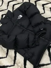 L THE NORTH FACE ザノースフェイス 1996 レトロ ヌプシ700 /ブラック