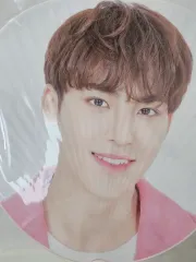SEVENTEEN(セブンティーン・セブチ) ミンギュ(MINGYU) 1つコンサート うちわ