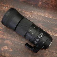 Item thumbnail for item 3806f3b4-9166-4ea0-9bc6-ac8029ce0e52