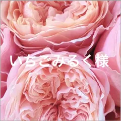 いちごみるく様　専用