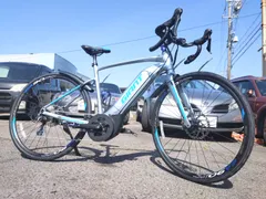 2026年最新】GIANT 種類：スポーツタイプ/e-bike 電動アシスト自転車