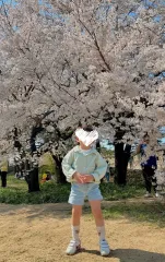 LYNN 長袖シャツ グリーン L/9号