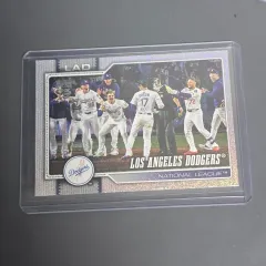 LAドジャーズ (大谷 HOMERUN Semicolon 終わらせる シーン) ホール ポイル