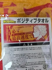 ホークス ビッグタオル