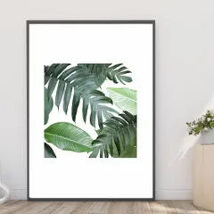 アートポスター【白壁の観葉植物】【A4】季節 花 観葉植物 ボタニカル ガーデン インテリア ウォールアート