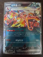 ポケットモンスター カード リザードン rr ex テラスタル