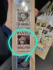 ONE PIECE 手配書とキーホルダー マグネット まとめ