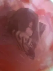 鬼滅の刃 伊黒 小芭内