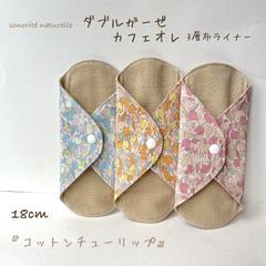 Item thumbnail for item 5b446a22-5629-41a7-9d9e-5faae9850bd5