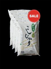 コシヒカリ 白米 20kg(連休限定お値引き価格） - メルカリ