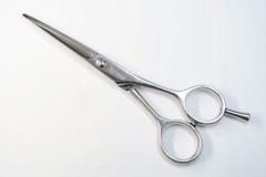 Item thumbnail for item ff123db9-da95-408d-bc52-145640534779