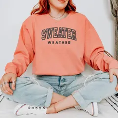 Simply Sage Market レディース トップス Tシャツ スウェット セーター 刺繍 Simply Sage Market Embroidered Sweater Weather Garment Dyed Sweatshirterracotta テ