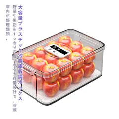 冷蔵庫 収納 ボックス 食品 保存 容器 野菜 果物 卵 冷凍 大容量 プラスチック