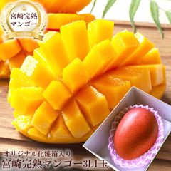 農家直送】宮崎完熟マンゴー 9玉(約3.5kg) - メルカリ