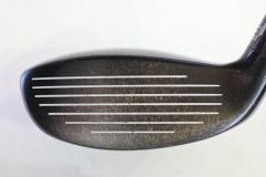 Item thumbnail for item fd7133d2-0648-4a4b-b4b6-93929ee0ea00