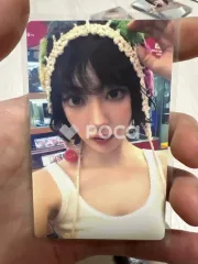 LE SSERAFIM サクラ SPAGHETTI COMPACT ver. Weverse