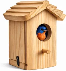 巣箱 鳥の巣箱 天然木製 鳥 バードハウス 完成品 野鳥用 巣作り 繁殖箱 インコ スズメ 小鳥対応 屋外 庭のデコレーション 親子DIYにも最適