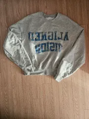 ZARA ザラ クロップド プリント クルーネック スウェット グレー