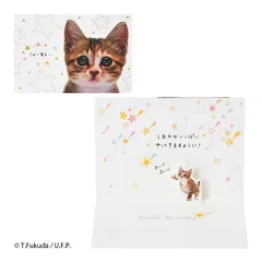 【メール便】グリーティングカード バースデー BD322-6 誕生日祝い　フォトネコの顔 サンリオ メッセージカード ポップアップカード グッズ 