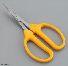 Item thumbnail for item 531093e3-14ed-41b2-81df-f9e91b908ae5