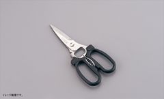 Item thumbnail for item d86ddf0d-64dc-4375-8e68-89411139bf6a