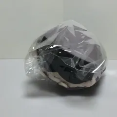 呪術廻戦 五条 悟 もちころりん