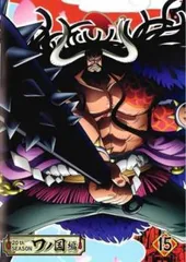 ONE PIECE ワンピース 20thシーズン ワノ国編 R-15(第951話～第954話)【アニメ 中古 DVD】レンタル落ち