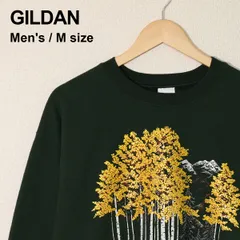 GILDAN ギルダン HISTORIC GEORGETOWN COLORADO 風景 プリント スウェット トレーナー M ダークグリーン 古着