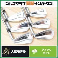 【マッスルバック】ダンロップ SRIXON Z-FORGED 2019年 アイアンセット 5~9/PW 6本セット AMT TOUR WHITE フレックスX100 スリクソン