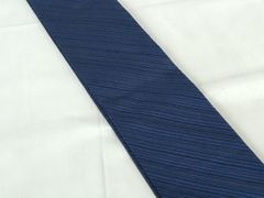 Item thumbnail for item 640d39f2-21b3-4896-a6fe-d2622a89cdc9