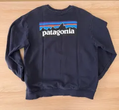 ヴィンテージ patagonia パタゴニア スウェット Tシャツ