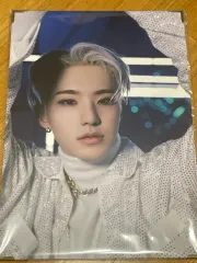 SEVENTEEN ホシ SPY×FAMILY 額縁 まとめ 出品