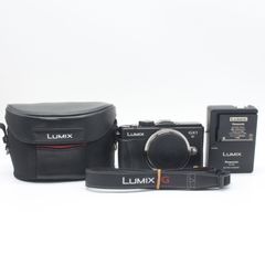 LUMIX DMC-GF1 14-45 レンズキット LVF1&レザーケース - メルカリ