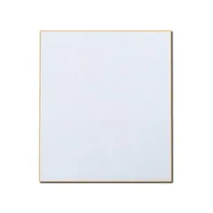 (まとめ) 長門屋商店 色紙（奉書紙） 242×272mm シ-541 1枚 〔×100セット〕