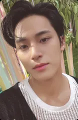 SEVENTEEN MINGYU SEVENTEENTH HEAVEN トレーディングカード PM2:14