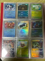 ポケットモンスターカード テラMONSTERボール 33枚 A級