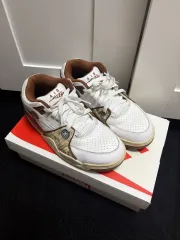 ナイキ STUSSY エア フライト 245