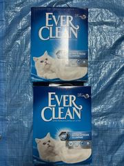 Item thumbnail for item e8cd9733-89f4-4929-8d7d-a1ca8415a9a8