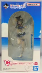 BANDAI SPIRITS 一番くじ 彼女、お借りします 満足度4 夏模様、恋模様。 C賞 更科瑠夏 夏の装い フィギュア
