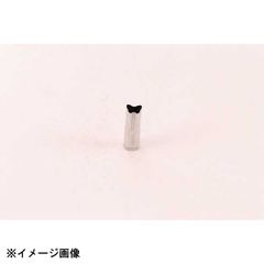 Item thumbnail for item b12a7ee5-7c2e-42c1-8ab0-4f7523ea77e6