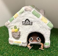 Item thumbnail for item 85b7add0-3638-405a-87d1-dbf6952343eb