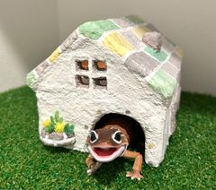 Item thumbnail for item ceeaf3af-07f4-4186-94c2-07f2ac0cac55