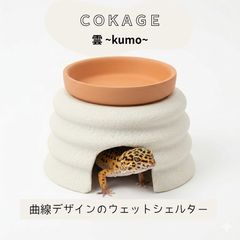 Item thumbnail for item 55607be3-59ee-4d41-aada-8eca7092e57d