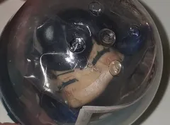 鬼滅の刃 伊之助 おねむたん 未開封 新品