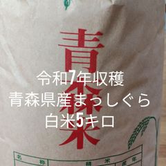 R7年産 新米 群馬県産 とちぎの星 5キロ 玄米 送料込 5kg ① - メルカリ